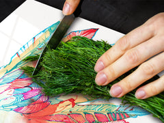 Gigantic Worktop saver and Pastry Board - Tempered GLASS Cutting Board Animals series DD01 Colorful parrot