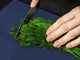 Enorme Tagliere in vetro - Asse da cucina; Serie di colori DD22A: Blu Navy Scuro