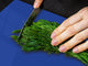 Enorme Tagliere in vetro - Asse da cucina; Serie di colori DD22A: Blu Imperiale