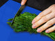 Enorme Tagliere in vetro - Asse da cucina; Serie di colori DD22A: Blu Egiziano