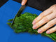 GIGANTE tagliere – Proteggi-piano di lavoro e spianatoia; Serie di colori DD22B: Blu Azzurro Scuro