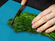 Groß Küchenbrett aus Hartglas und Kochplattenabdeckung; Series of colors DD22B: Dark Turquoise