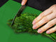 TRES GRAND et Couvre-cuisinière à induction; Série de couleurs DD22B: Vert
