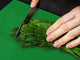 TRES GRAND et Couvre-cuisinière à induction; Série de couleurs DD22B: Vert Pelouse 