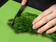 Groß Küchenbrett aus Hartglas und Kochplattenabdeckung; Series of colors DD22B: Pastel Green