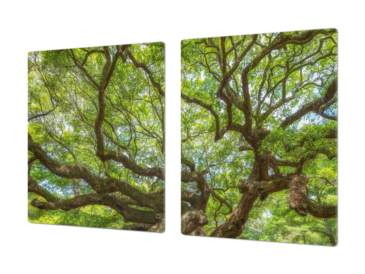 Very Big Cooktop saver - Nature series DD08 Tree 1
