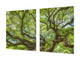 Groß Küchenbrett aus Hartglas und Kochplattenabdeckung; Nature series DD08: Tree 1