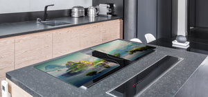 Induction Cooktop Cover – Glass Worktop saver: Fantasy and fairy-tale series DD18 Fantastic world