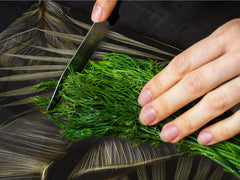 Enorme Cubre vitros de cristal templado - Serie de alimentos DD16 Comida Africa