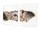 Riesig Schneidbrett aus Hartglas und schützende Arbeitsoberfläche; Animals series DD01: Kitten 2