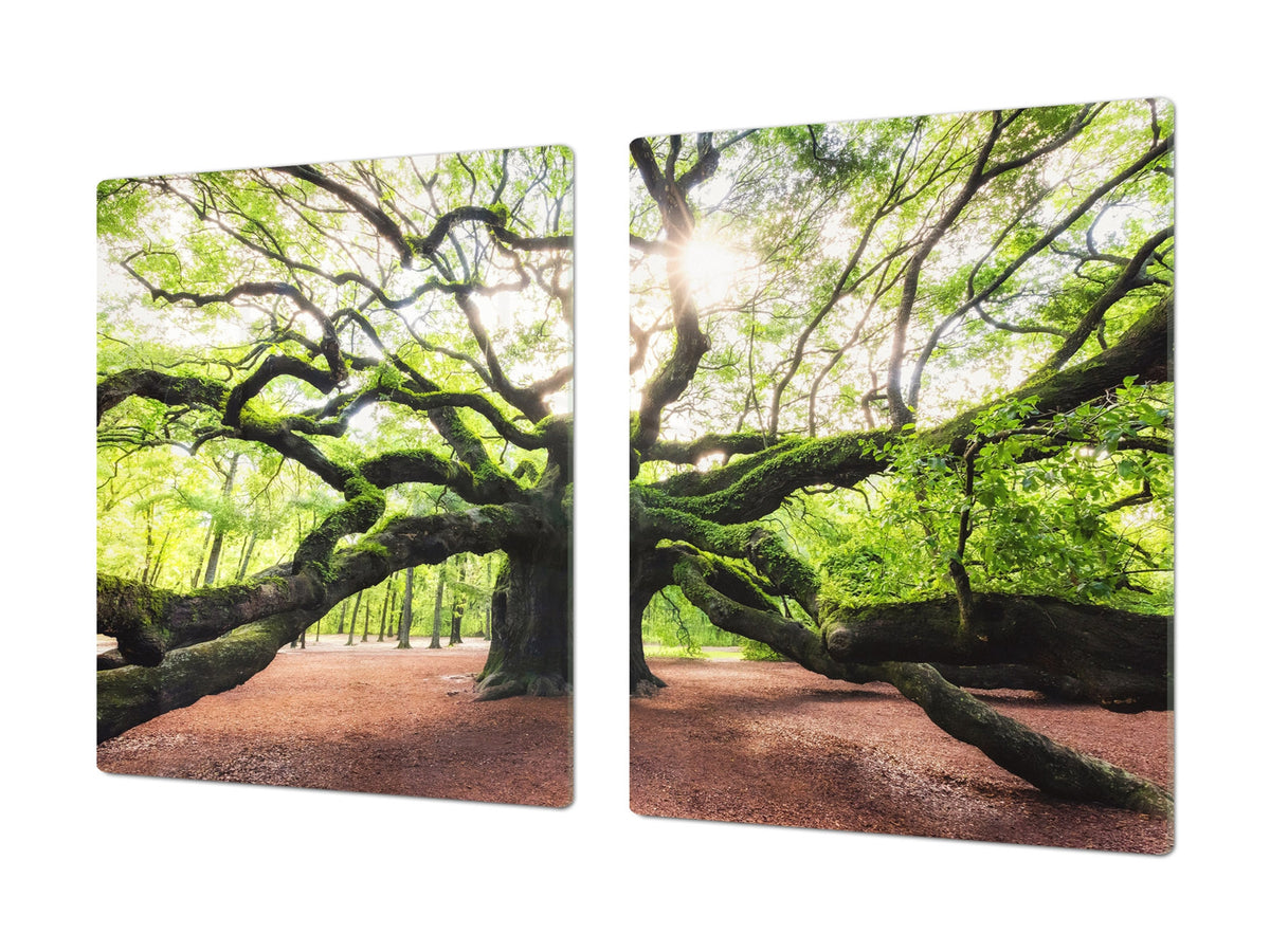 Very Big Cooktop saver - Nature series DD08 Tree 2