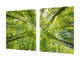 Very Big Cooktop saver - Nature series DD08 Crowns of trees