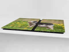 Gigantic Worktop saver and Pastry Board - Tempered GLASS Cutting Board Animals series DD01 Piggy