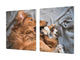 GÉANT planche à découper en VERRE trempé; Série animaux DD01: Chien avec un chat