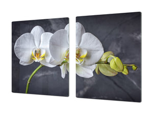 Induction Cooktop Cover – Glass Cutting Board- Flower series DD06B White orchid 3