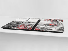 Impact & Shatter Resistant Worktop saver- Image Series DD05B Paris 2