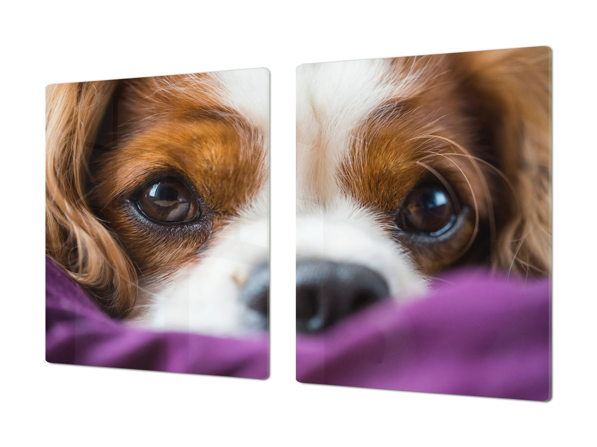 Gigantic Worktop saver and Pastry Board - Tempered GLASS Cutting Board Animals series DD01 Doggie