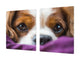 Riesig Schneidbrett aus Hartglas und schützende Arbeitsoberfläche; Animals series DD01: Doggie