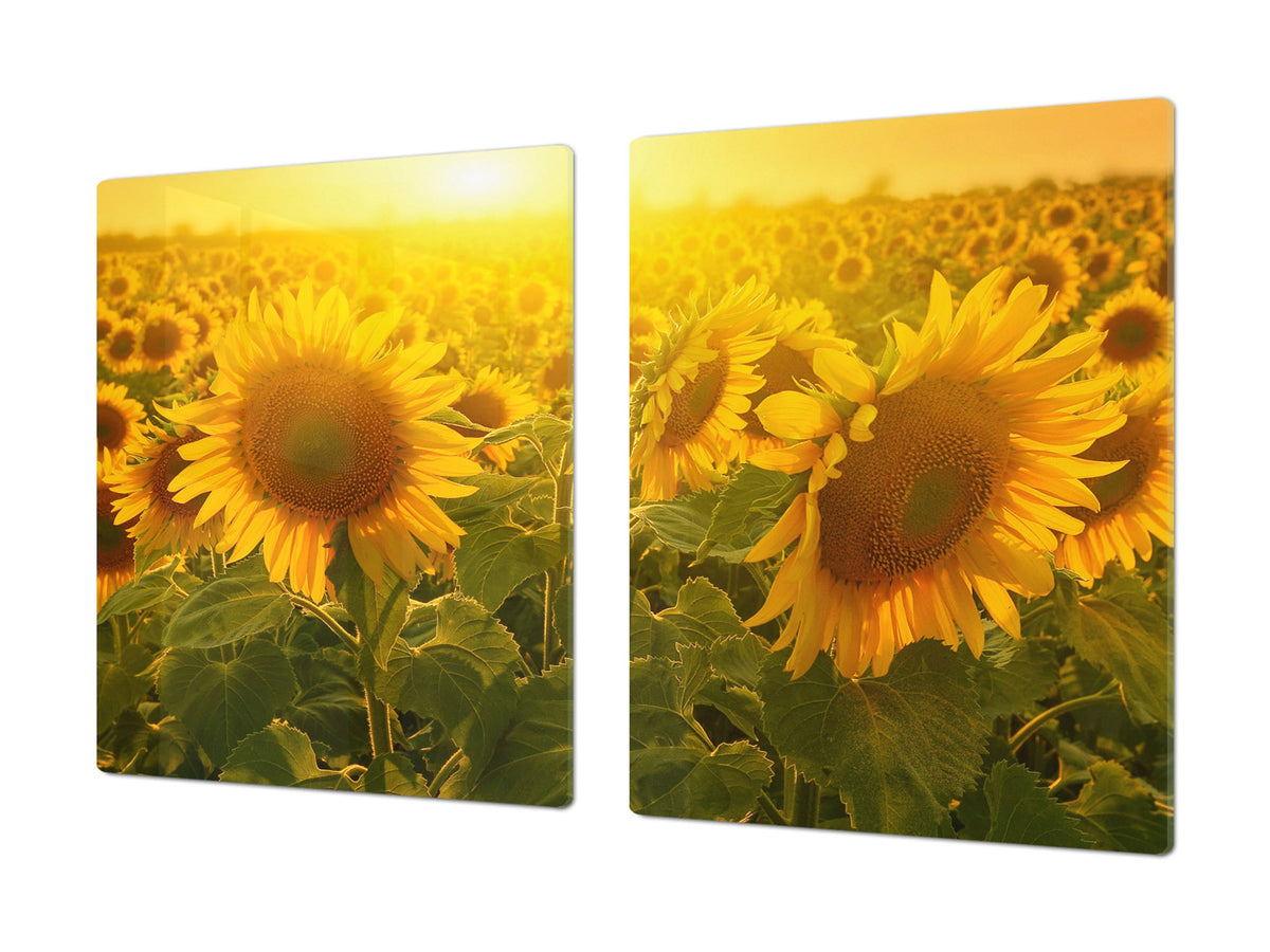 ENORMOUS  Tempered GLASS Chopping Board - Flower series DD06A Sunflower 2
