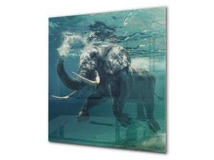 Panel protector de vidrio templado – Serie Mar y Montaña BS03  Elefante bajo el agua