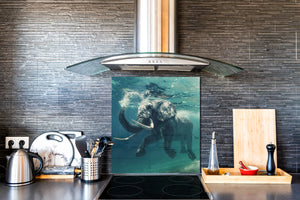 Einzigartiges Glas-Küchenpanel – Hartglas-Rückwand – Kunstdesign Glasaufkantung BS20 Serie Meerwasser:  Elephant Under Water