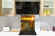 Paraschizzi cucina vetro – Paraschizzi vetro temperato – Paraschizzi con foto BS20 Serie mare: West Pier Footbridge