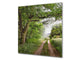 Placa protectora contra salpicaduras de vidrio templado BS16 Serie de paisajes de cascada: Camino de campo