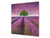 Placa protectora contra salpicaduras de vidrio templado BS16 Serie de paisajes de cascada: Serie cascada: Heathers Violet Tree 1