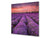 Placa protectora contra salpicaduras de vidrio templado BS16 Serie de paisajes de cascada: Serie cascada: Heathers Violet Tree 3