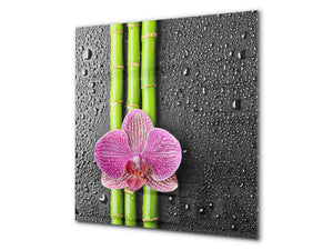 Gehärtete Glasrückwand – Glasrückwand mit aufgedrucktem kunstvollen Design BS04 Serie Löwenzahn und Blumen:  Pink Orchid