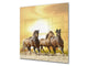 Art glass design printed glass splashback BS21A  Animals A Series: Running Horses 1