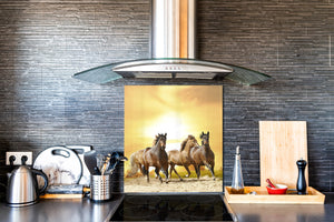 Paraschizzi vetro rinforzato – Paraspruzzi artistico stampato su vetro BS21A Serie animali A: Running Horses 1
