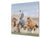 Paraschizzi vetro rinforzato – Paraspruzzi artistico stampato su vetro BS21A Serie animali A:  Running Horses 2