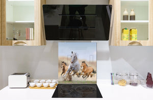 Glas Küchenrückwand – Hartglas-Rückwand – Foto-Rückwand BS 21A Serie Tiere A:  Running Horses 2