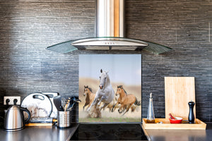 Art glass design printed glass splashback BS21A  Animals A Series: Running Horses 2
