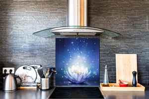 Toughened glass backsplash BS 04 Dandelion and flowers series: Shining Water Lily 2