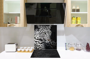 Art glass design printed glass splashback BS21A  Animals A Series: Tiger Black And White 1