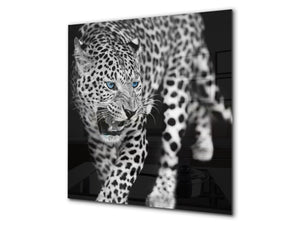 Art glass design printed glass splashback BS21A  Animals A Series: Tiger Black And White 2