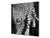 Paraschizzi vetro rinforzato – Paraspruzzi artistico stampato su vetro BS21A Serie animali A:  Tiger in bianco e nero 2