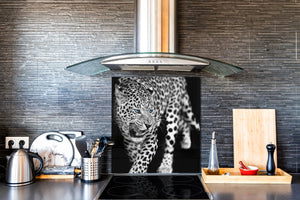 Glas Küchenrückwand – Hartglas-Rückwand – Foto-Rückwand BS 21A Serie Tiere A:  Tiger Black And White 2