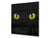 Art glass design printed glass splashback BS21A  Animals A Series:  Cat With Yellow Eyes