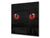 Paraschizzi vetro rinforzato – Paraspruzzi artistico stampato su vetro BS21A Serie animali A:  Gatto degli occhi rossi