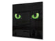Art glass design printed glass splashback BS21A  Animals A Series:  Cat Green Eyes