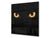 Paraschizzi vetro rinforzato – Paraspruzzi artistico stampato su vetro BS21A Serie animali A:  Occhi di gatto