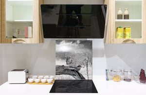 Glas Küchenrückwand – Hartglas-Rückwand – Foto-Rückwand BS 21A Serie Tiere A:  Tiger Black And White 3