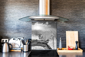 Paraschizzi vetro rinforzato – Paraspruzzi artistico stampato su vetro BS21A Serie animali A: Tiger in bianco e nero 3