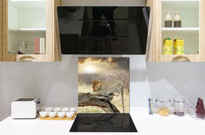 Art glass design printed glass splashback BS21A  Animals A Series: Tiger Color
