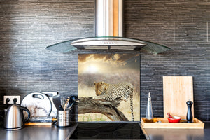 Paraschizzi vetro rinforzato – Paraspruzzi artistico stampato su vetro BS21A Serie animali A:  Tiger Color