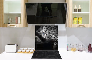 Diseño de vidrio de arte splashback de vidrio impreso BS21A Animals A Series: Tigre blanco y negro 4