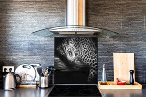 Glas Küchenrückwand – Hartglas-Rückwand – Foto-Rückwand BS 21A Serie Tiere A:  Tiger Black And White 4